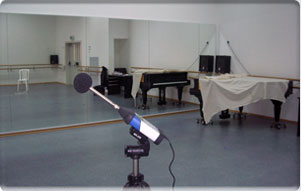 БАЛЕТНАЯ АУДИТОРИЯ